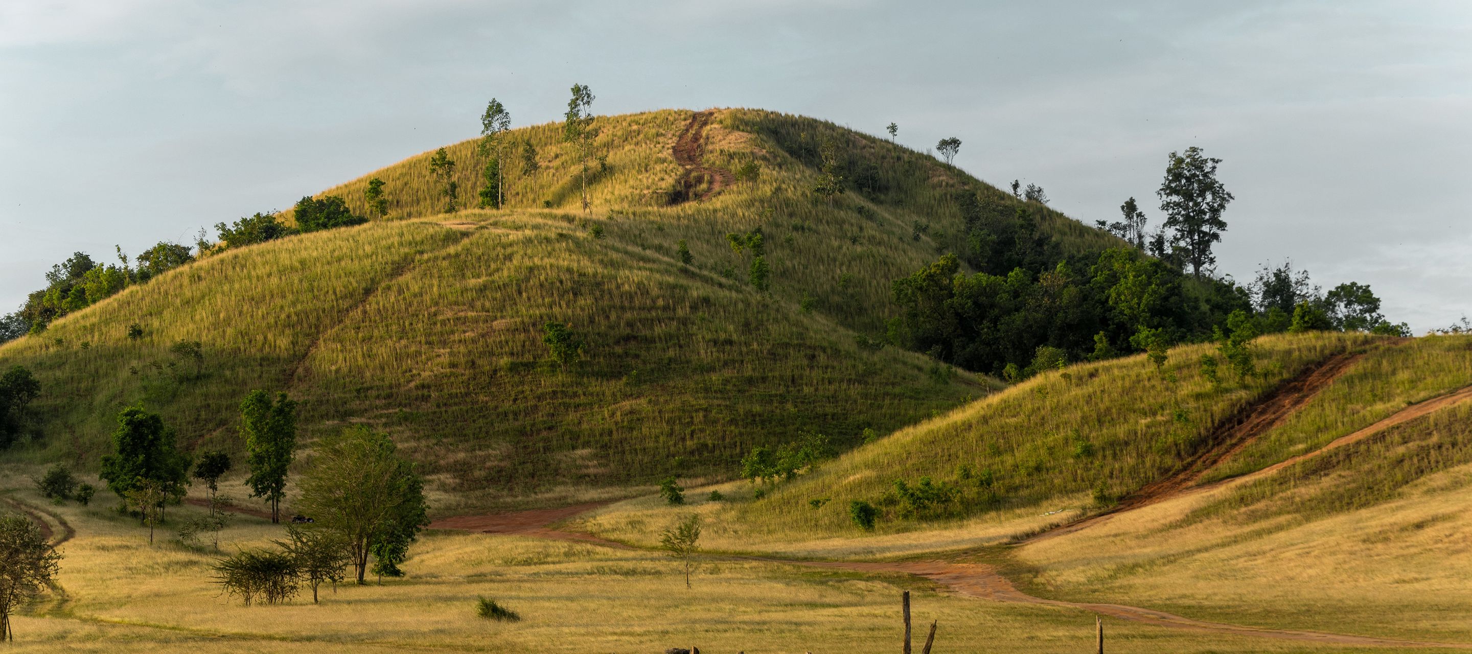 Der «Grasberg» Phu Khao Ya bei Ranong wird auch Kahlberg genannt.