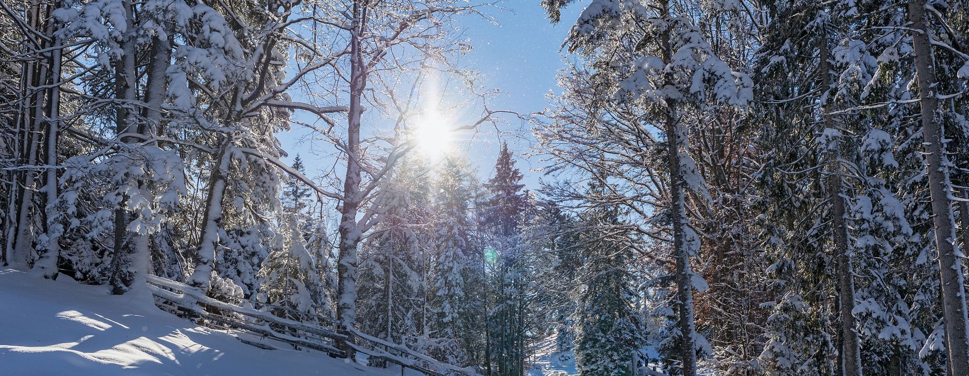 Paysage hivernale à Seefeld
