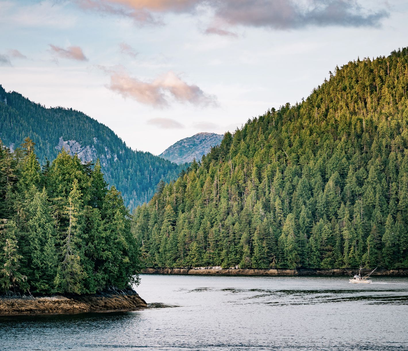 Wohin diese Meeresarme wohl alle führen?