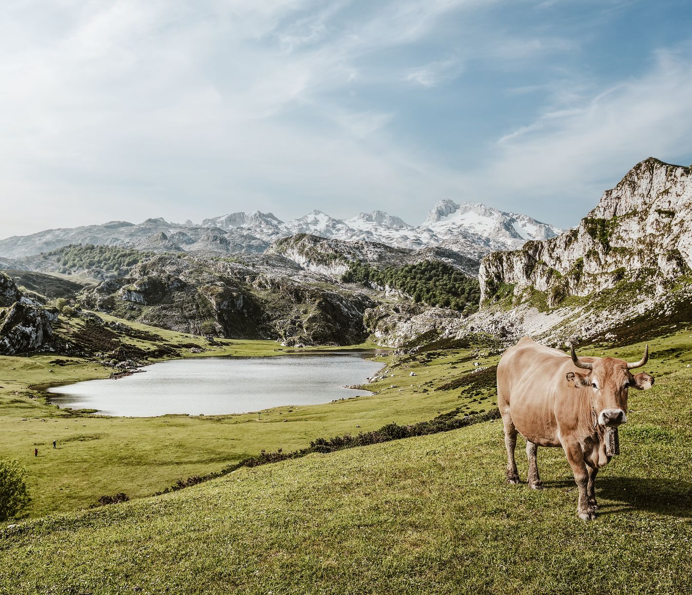 Die Covadonga Seen bieten eine paradisische Idylle.