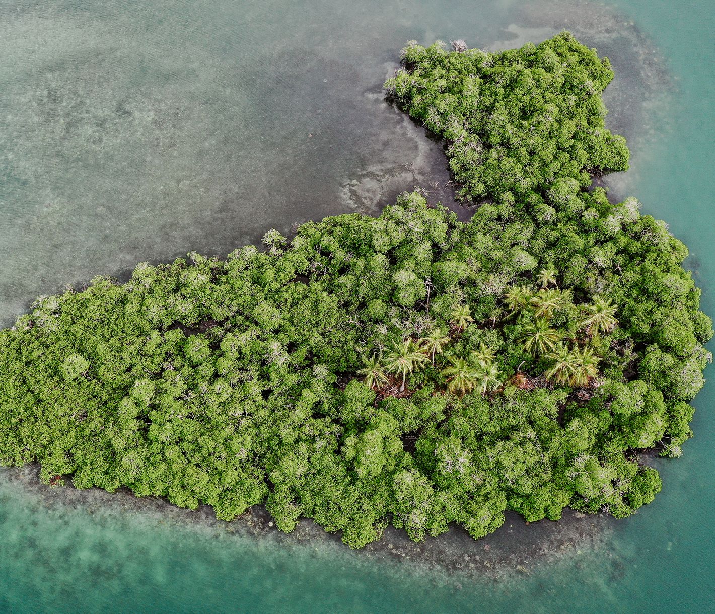 Abstecher nach Bocas del Toro