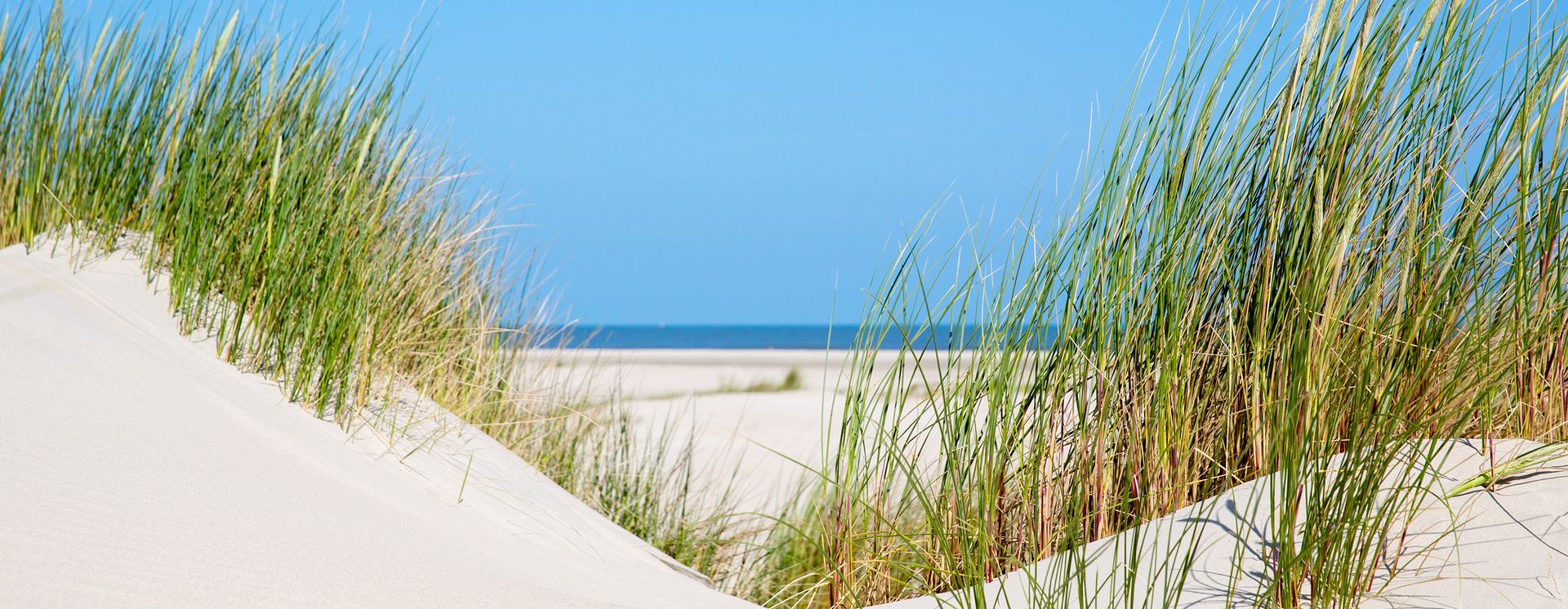 Ostfriesland & Ostfriesische Inseln