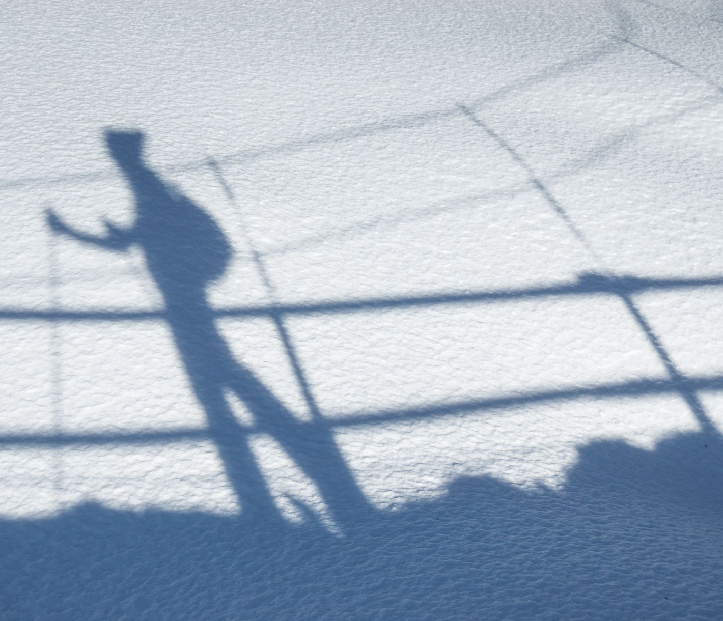 Schneeschuhwanderungen