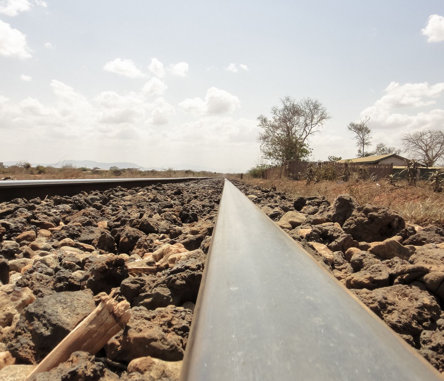 Auf Schienen mit dem Zug von der Küste in die Wildnis