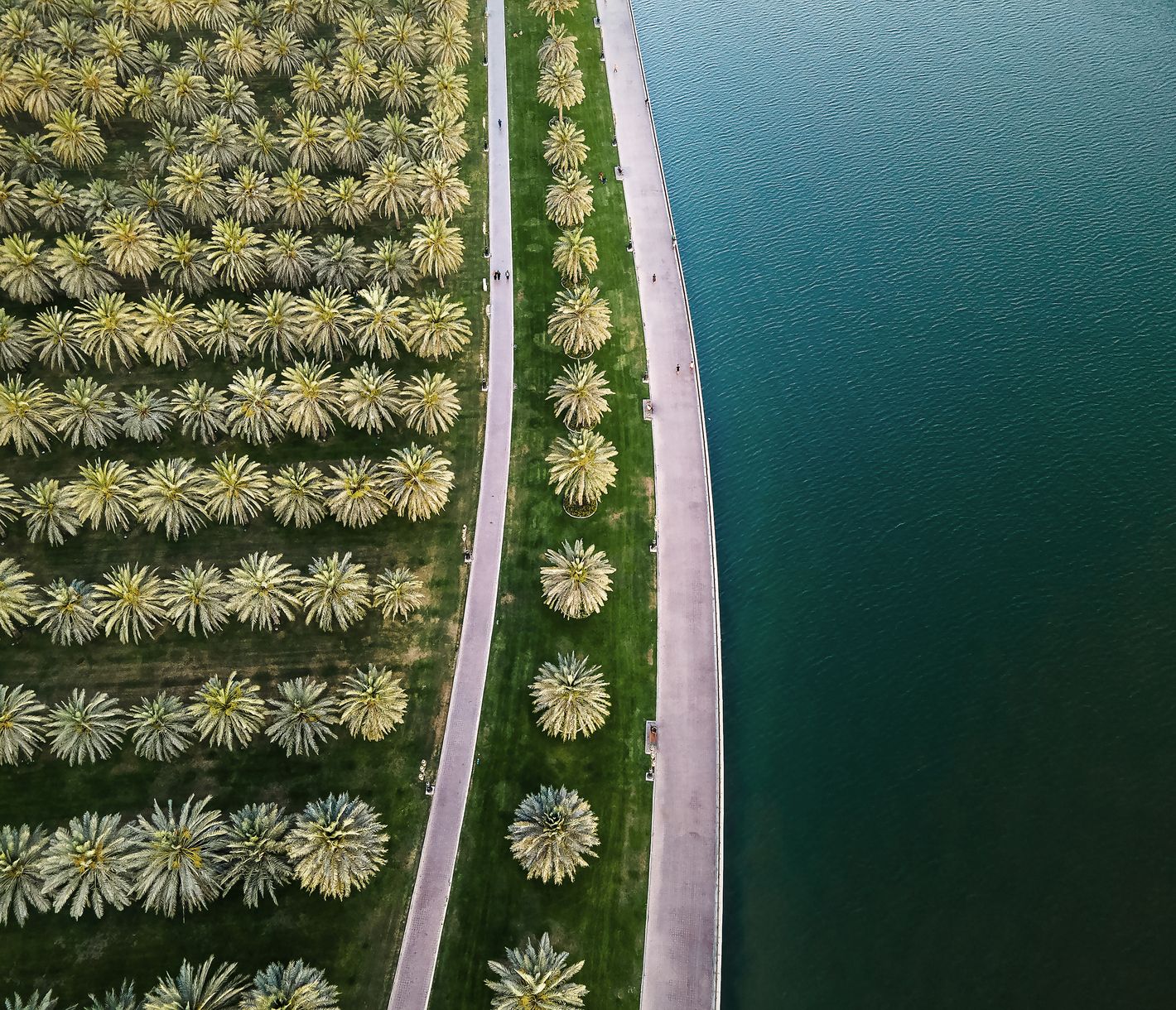 Promenade près de l'île Al-Noor à Sharjah
