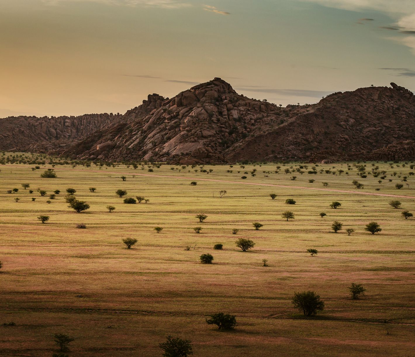 Sonnenuntergangsstimmung in der Region von Twyfelfontein