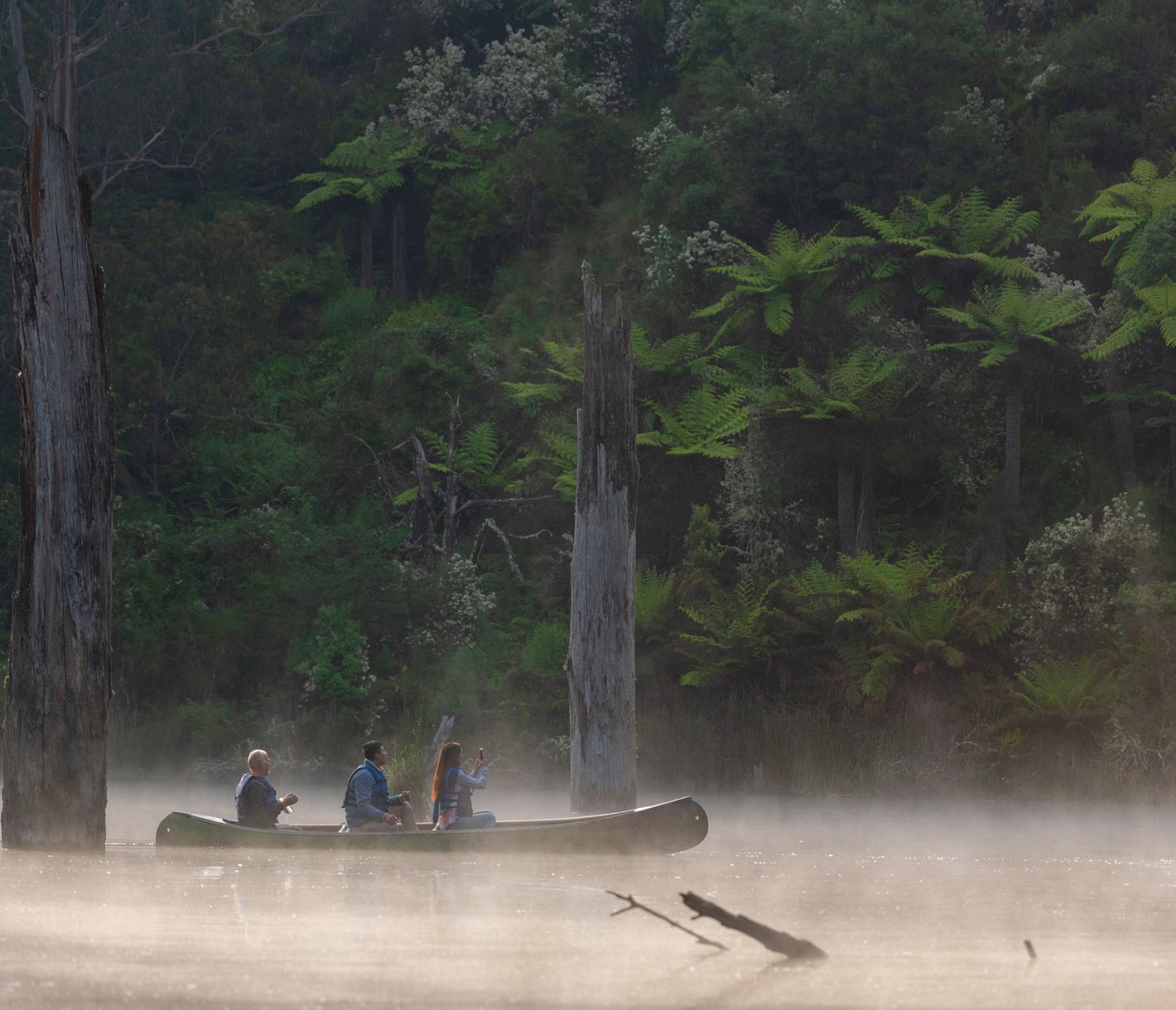 Great Otway National Park