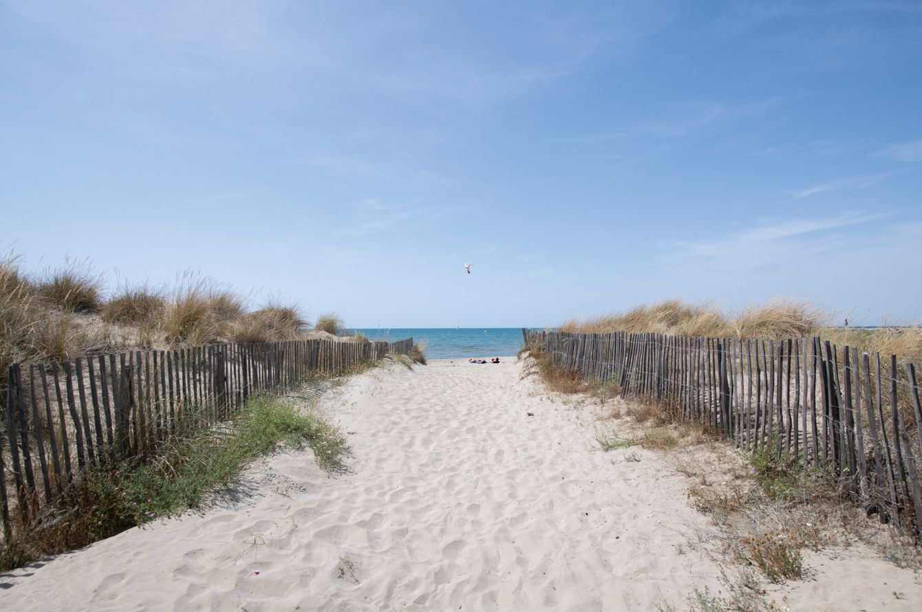 Strand
