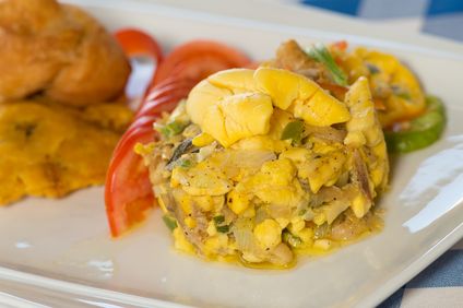 4. Bild der Unterkunft