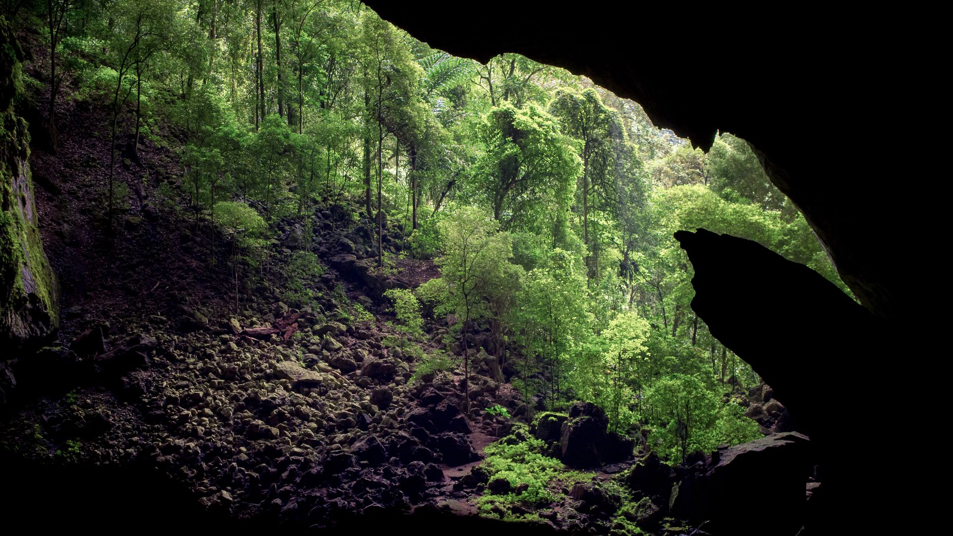 Deer Cave