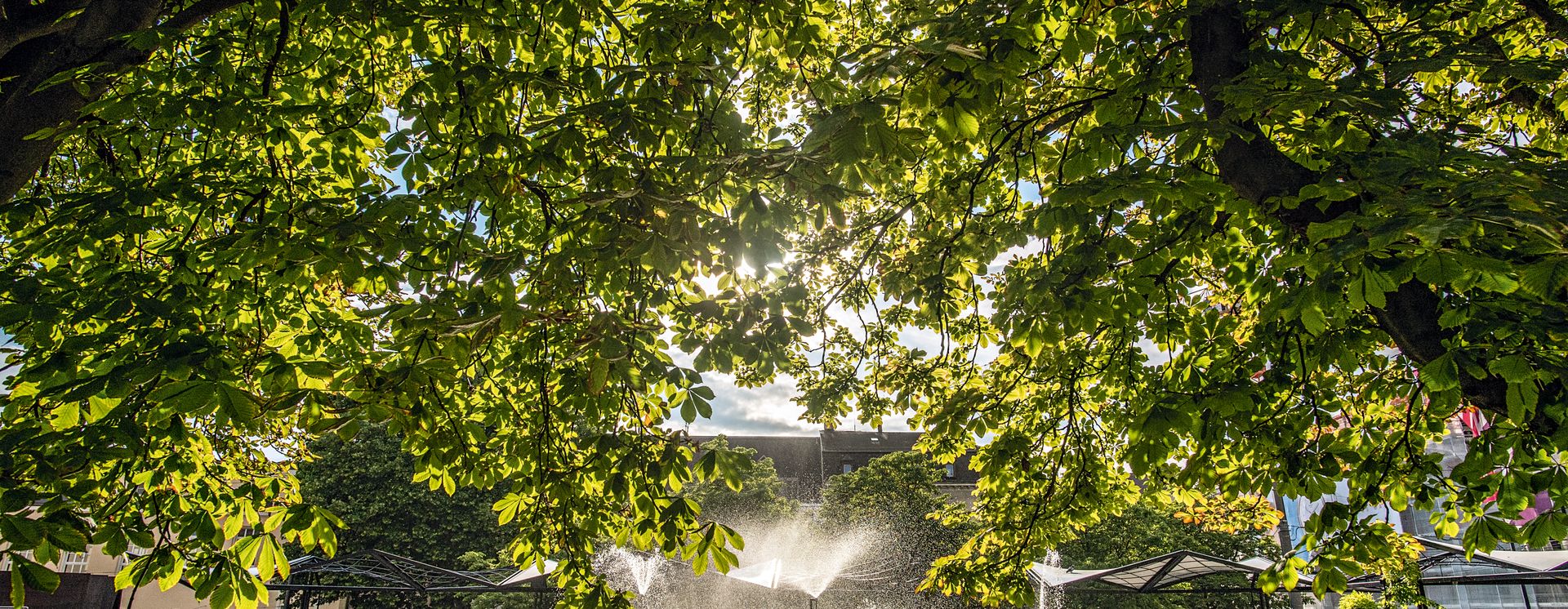 Tinguely Brunnen, Basel