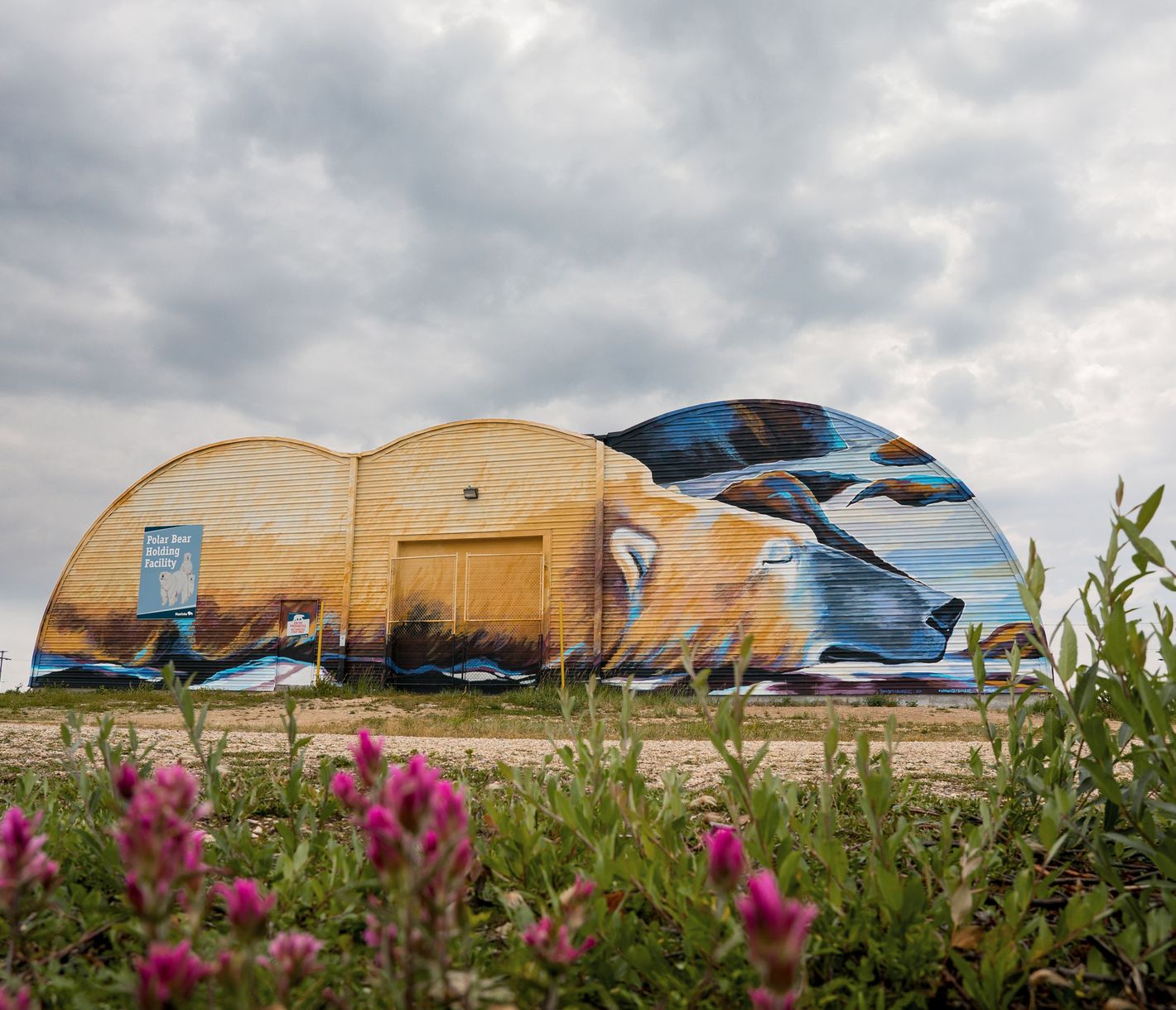 Gebäude mit Eisbärenzeichnung