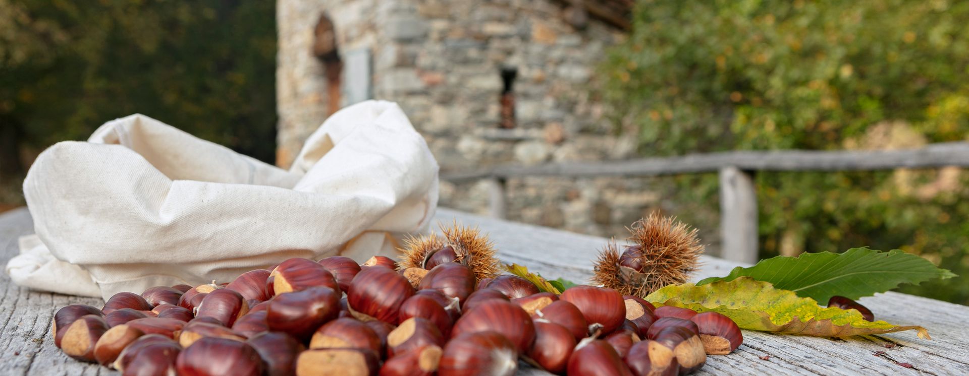 Recolte de chataignes a Vezio dans le Malcantone © Ticino Turismo / Luca Crivelli