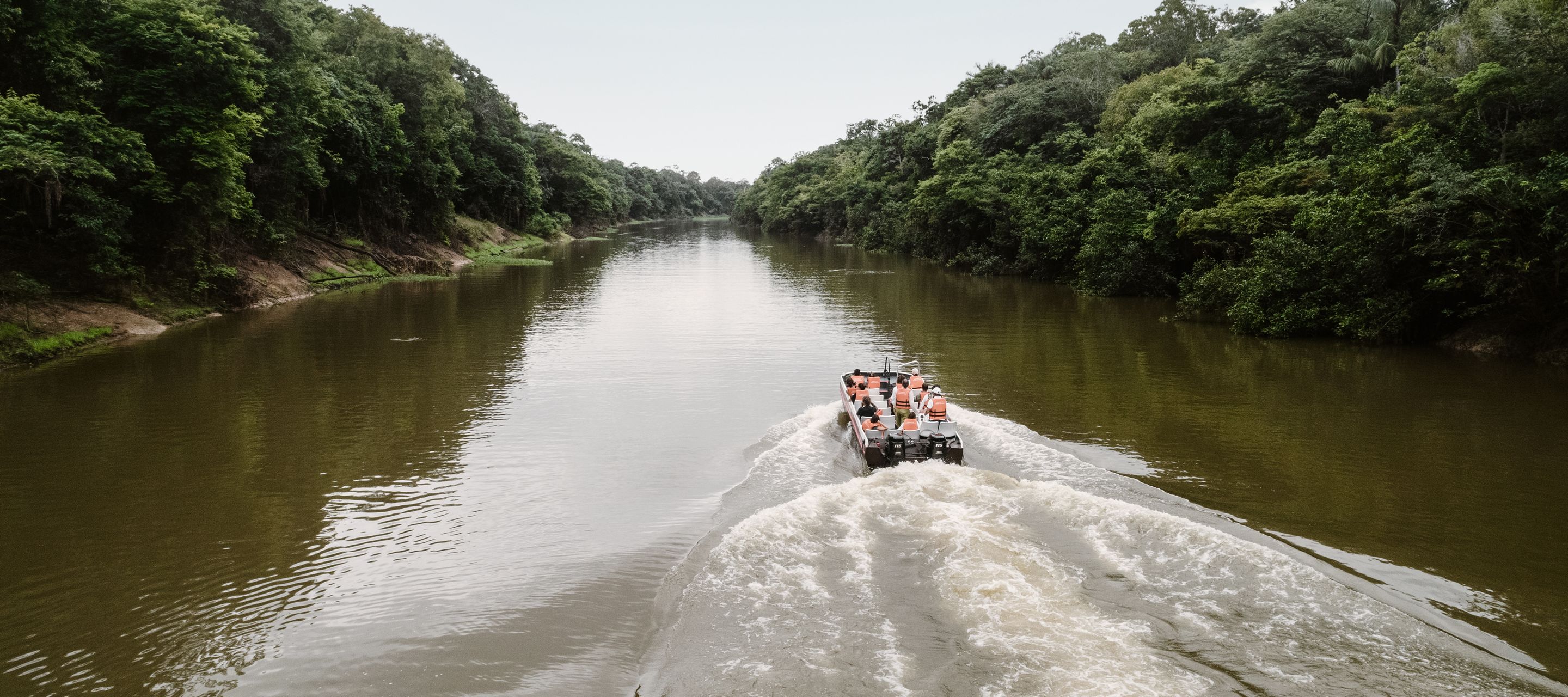  Eintauchen in das Herz des Amazonas, der grünen Lunge des Planeten