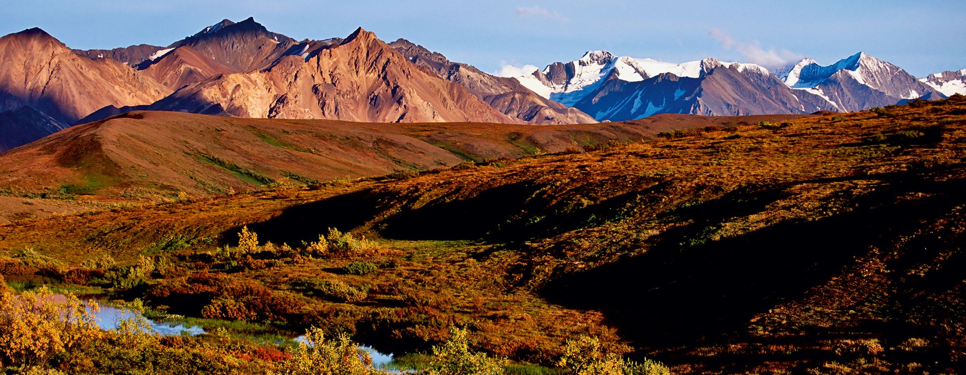 Denali National Park