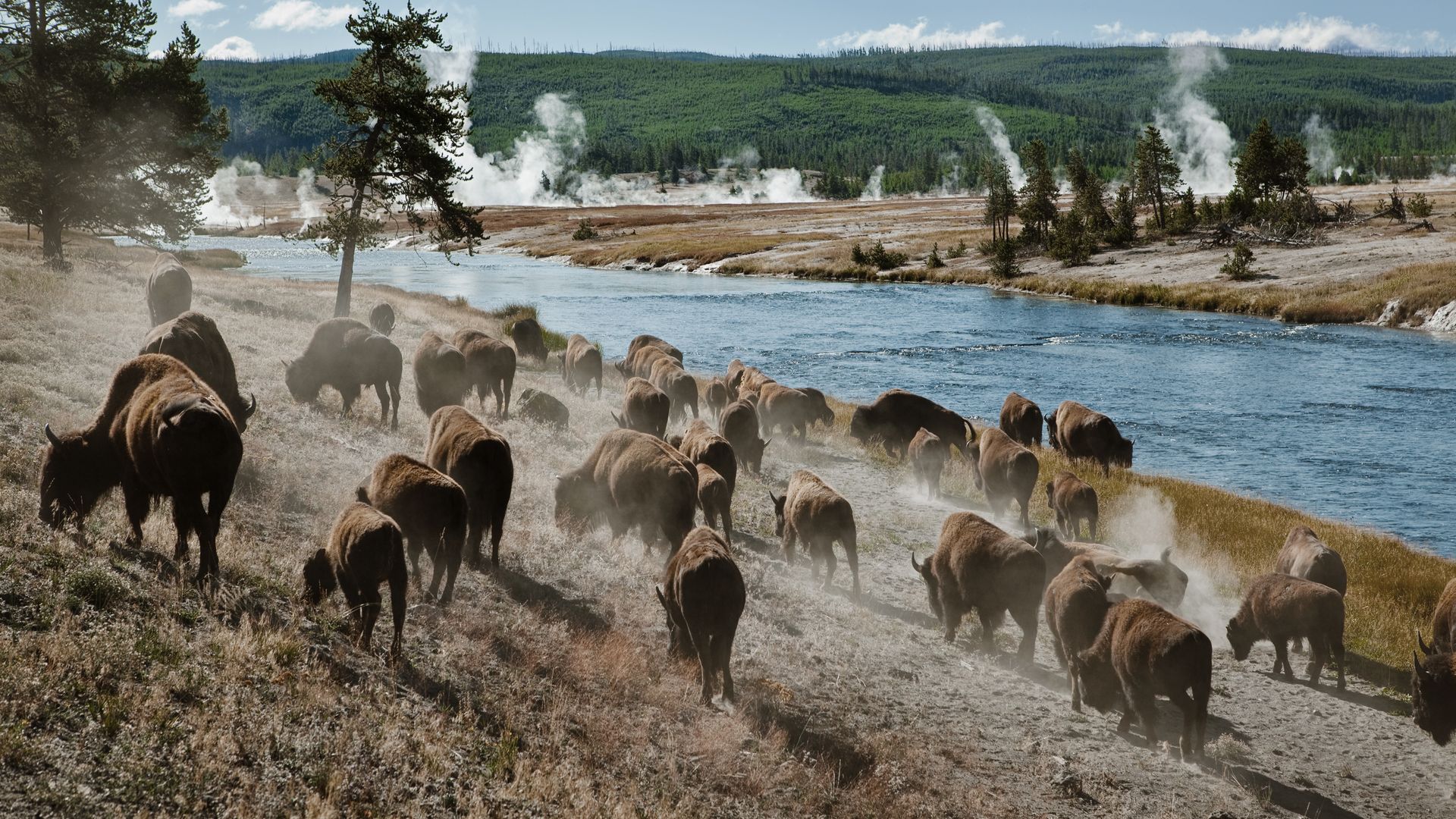 Heisse Quellen und Geysire im Yellowstone-Nationalpark