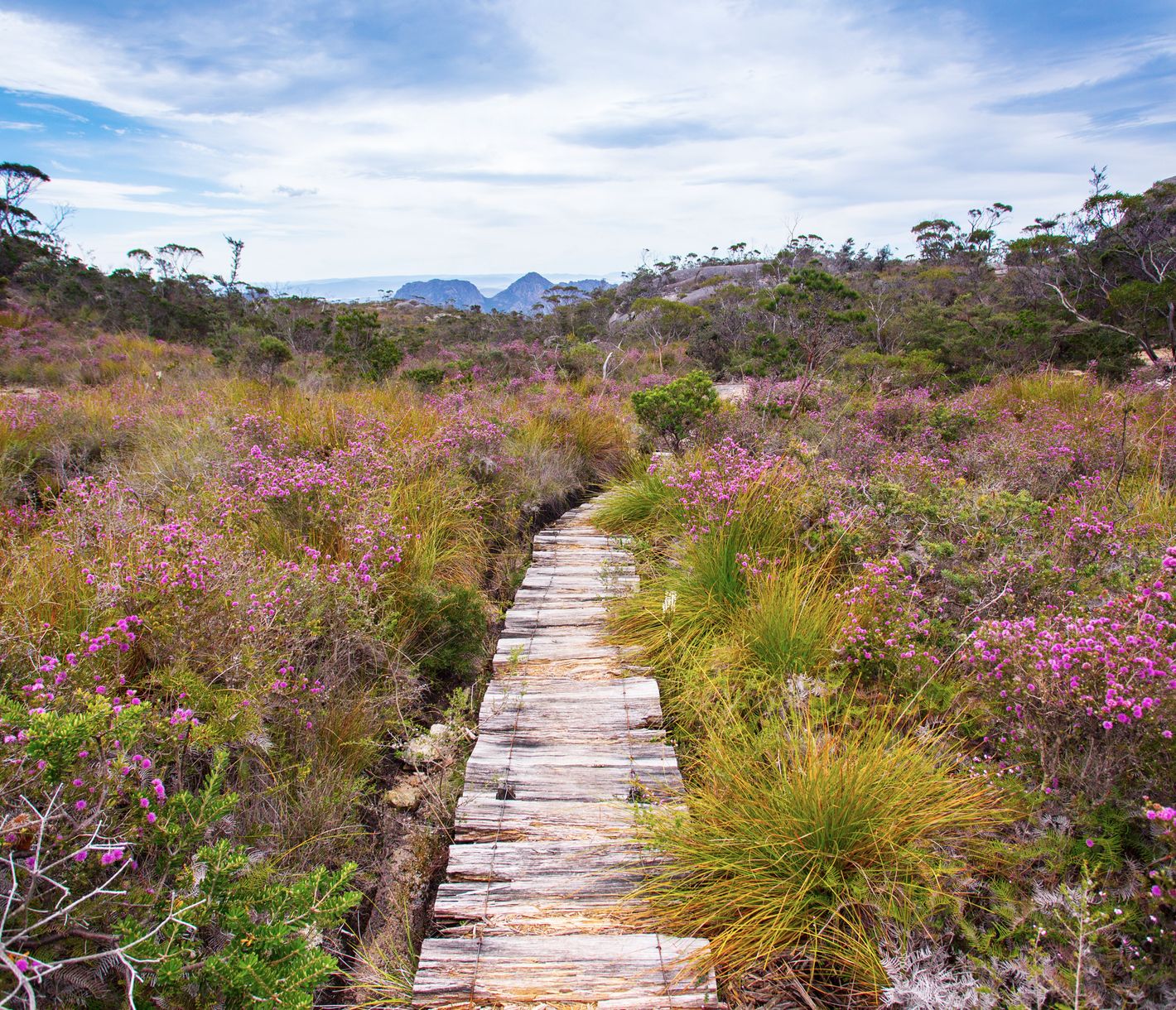 Der Weg ist das Ziel.