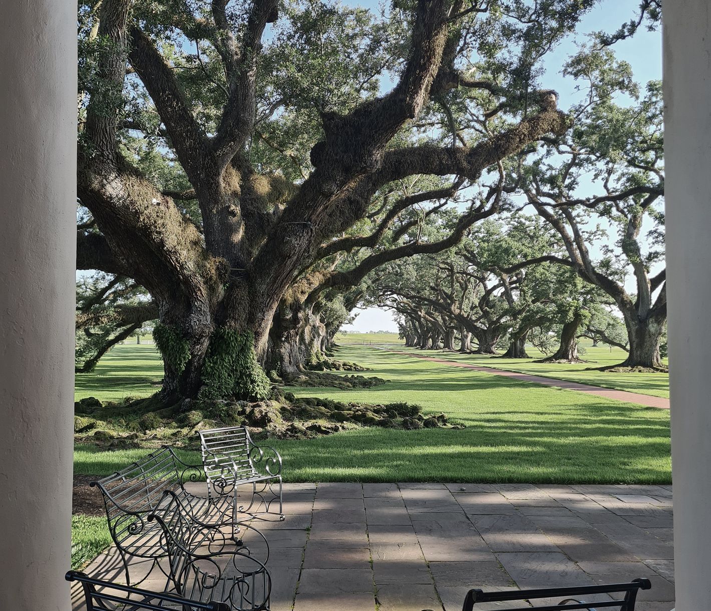 Die wunderschöne Oak Alley Plantation lädt zum Verweilen ein.