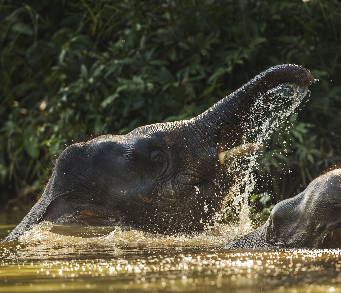 Das Schutzgebiet von Tabin