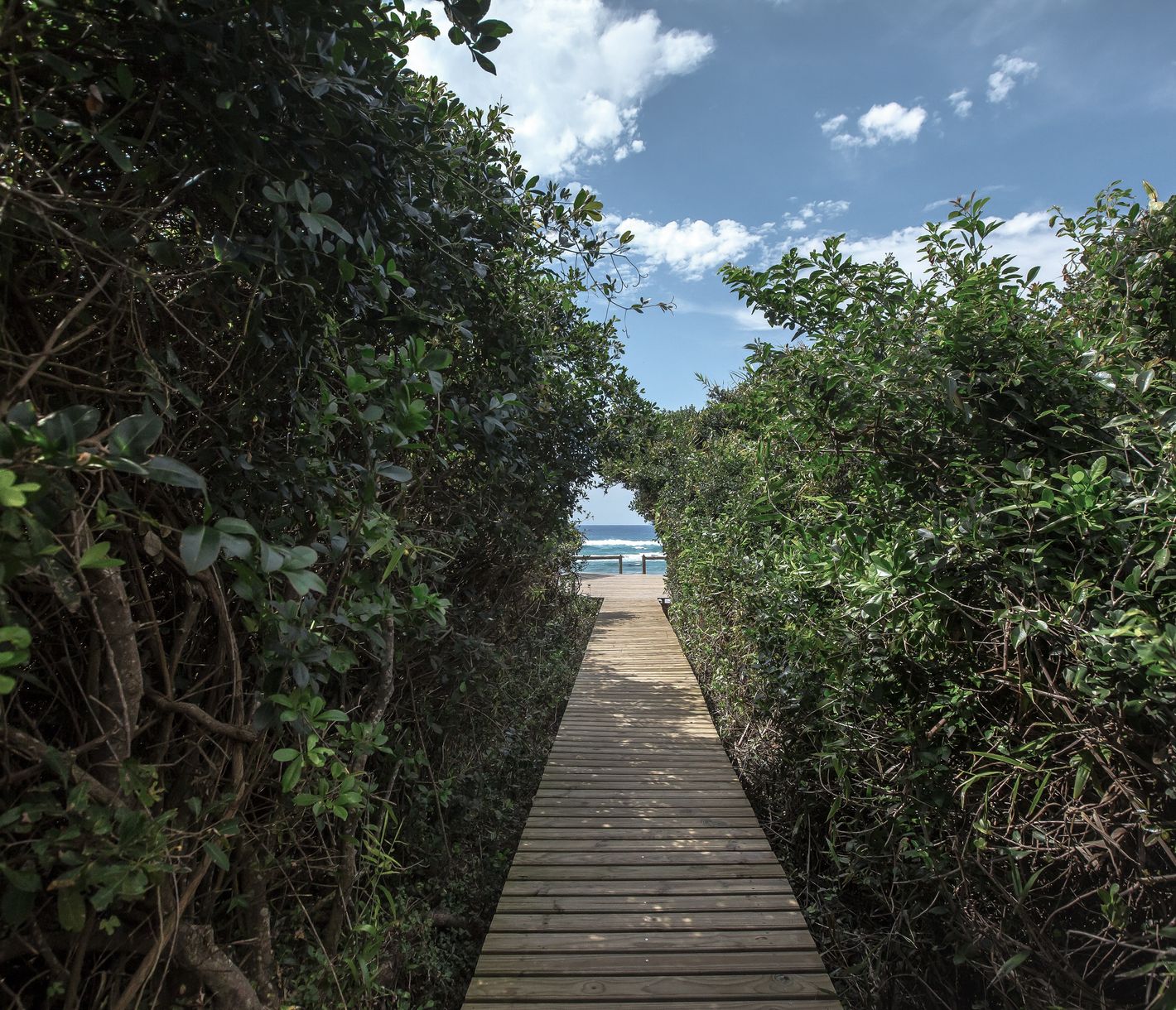 Thonga Beach, Weg zum Meer