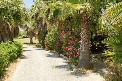 8. Bild der Unterkunft