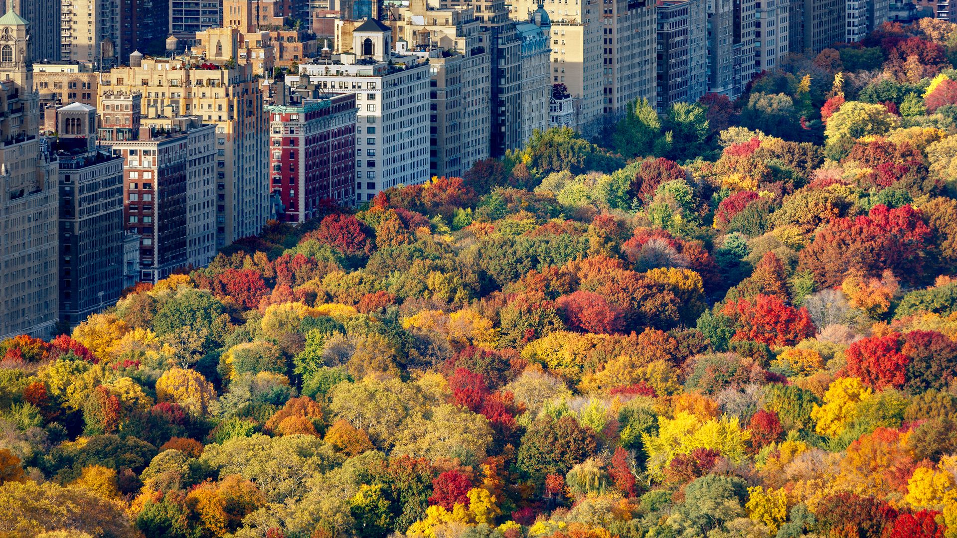 Les couleurs automnales de Central Park contrastent avec les vénérables bâtiments de l’Upper West Side.