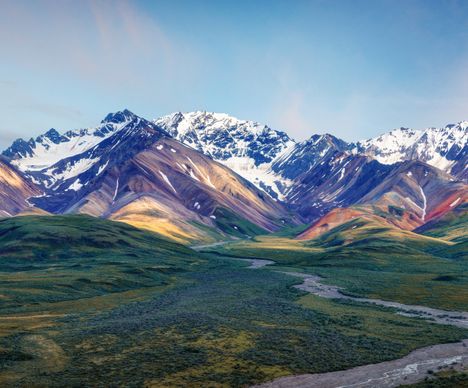Tundralandschaft, Wildtiere and "the big one" im Denali National Park