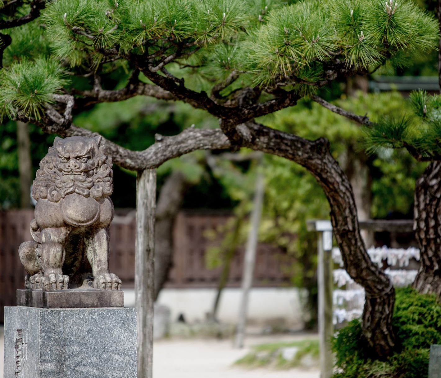Oase der Ruhe beim Sumiyoshi-Schrein