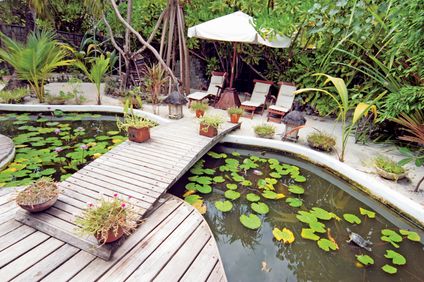 8. Bild der Unterkunft