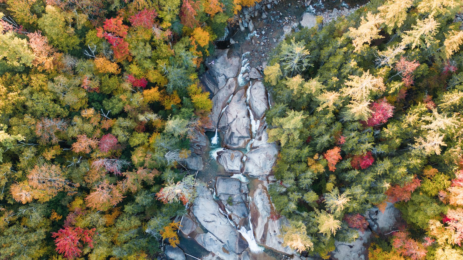 Der Franconia Notch State Park liegt im Herzen der White Mountains und beeindruckt mit majestätischer Natur, steilen Felsklippen und klaren Bergseen.
