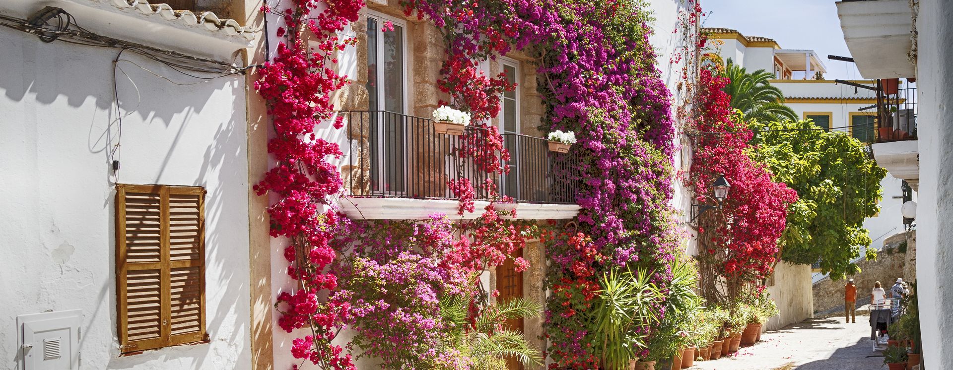 Gasse in Ibiza-Stadt mit Bougainvillea Blumen