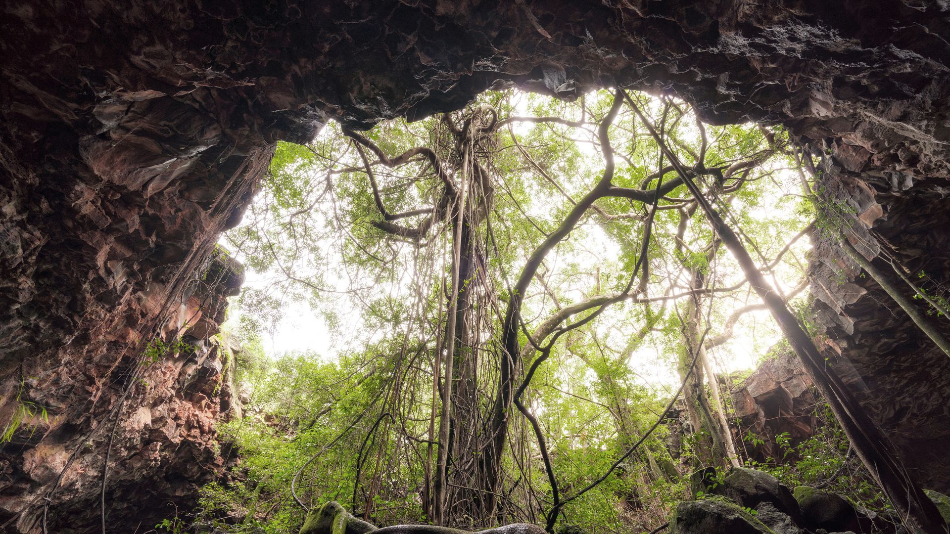 Ein etwas anderer Tunnel