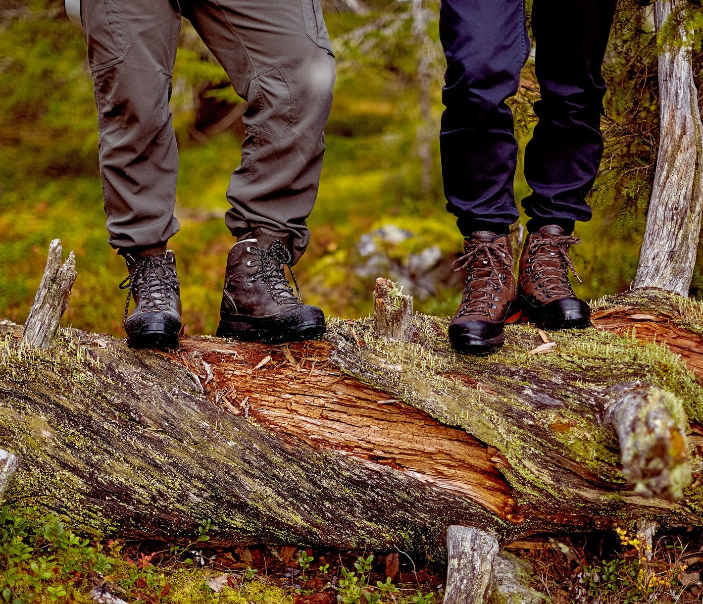 Wandern und Picknicken