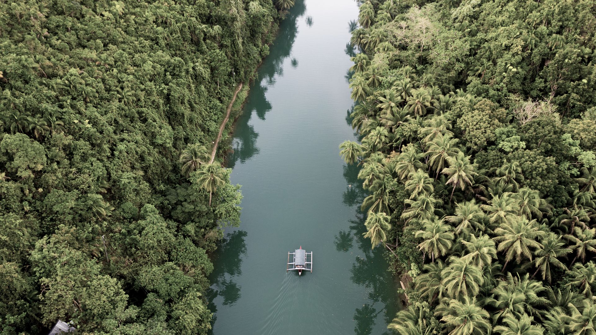 Lors d’une croisière sur la rivière Loboc à Bohol, vous serez plongé dans l’ambiance philippine.