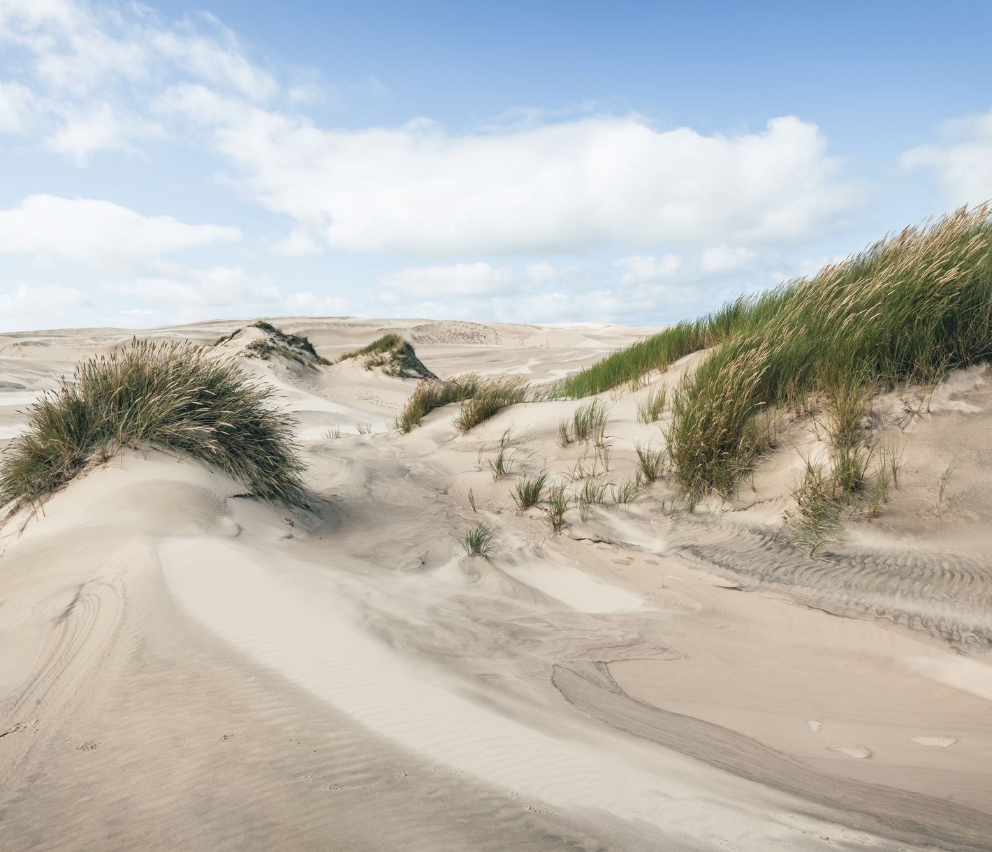 Die Wanderdüne Rabjerg Mile