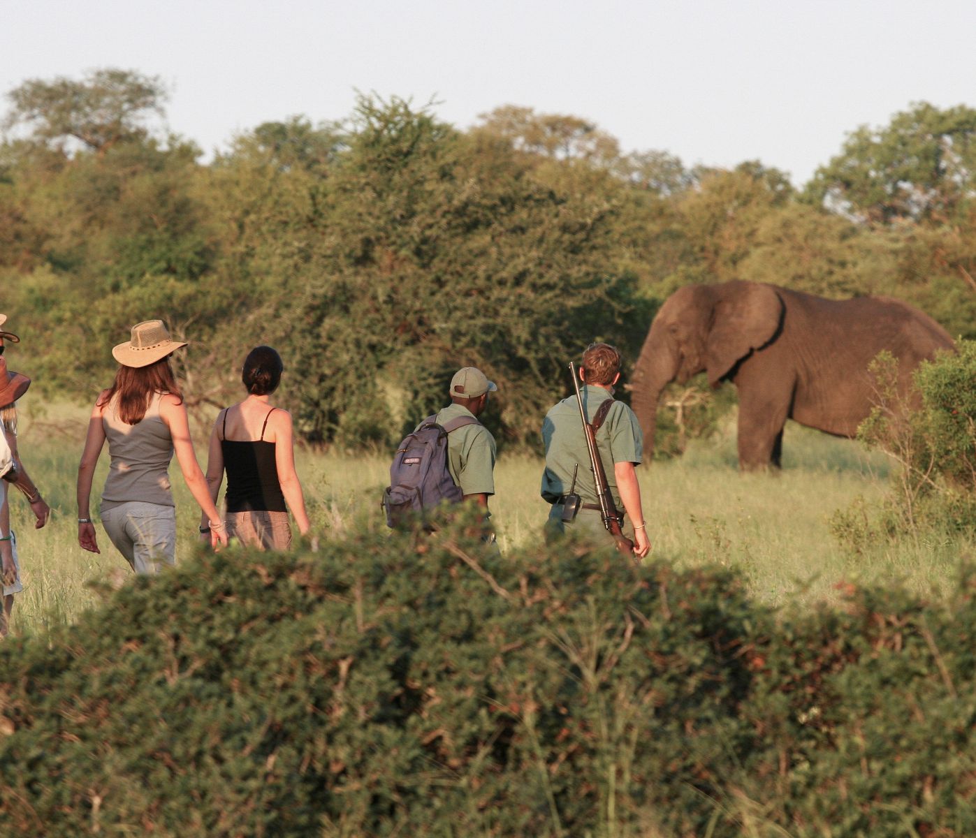 Rhino Plains Camp, Walking Safari
