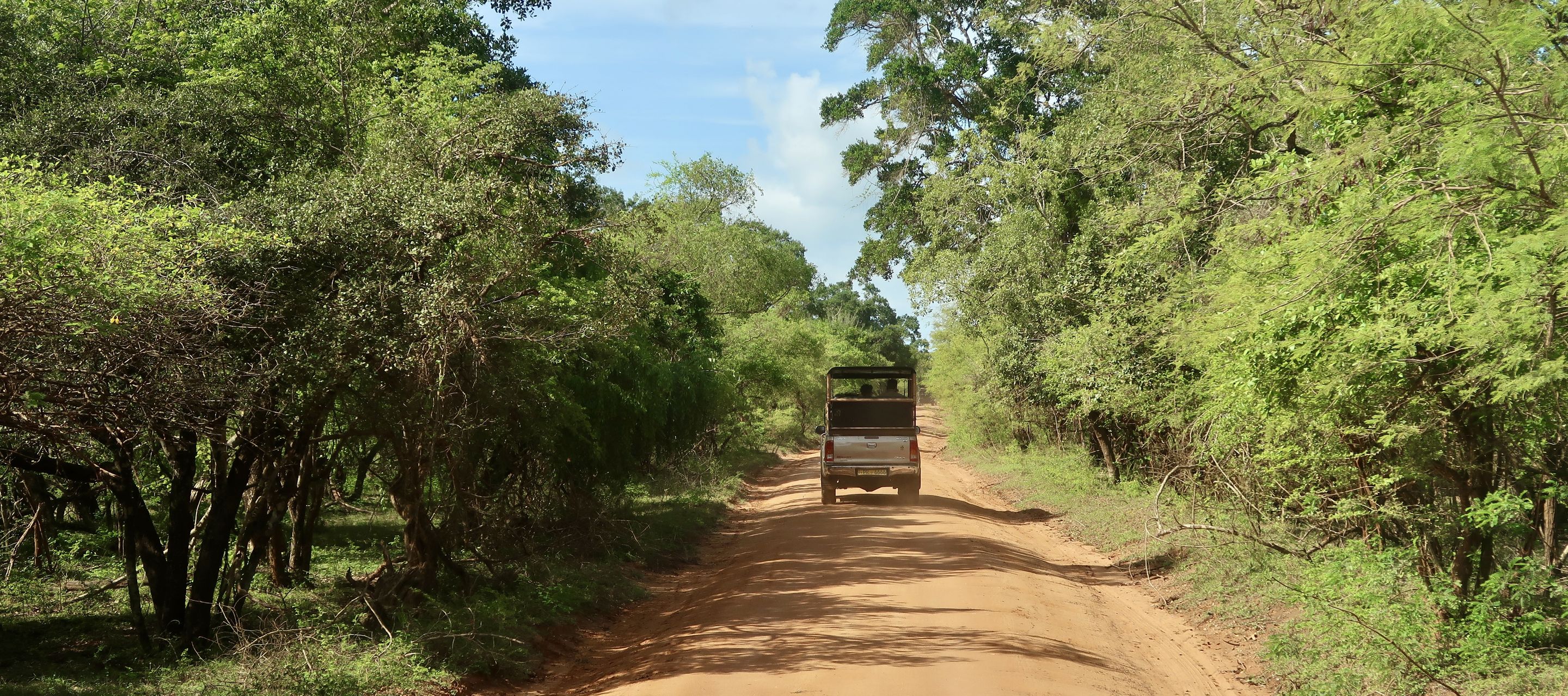 Yala Nationalpark