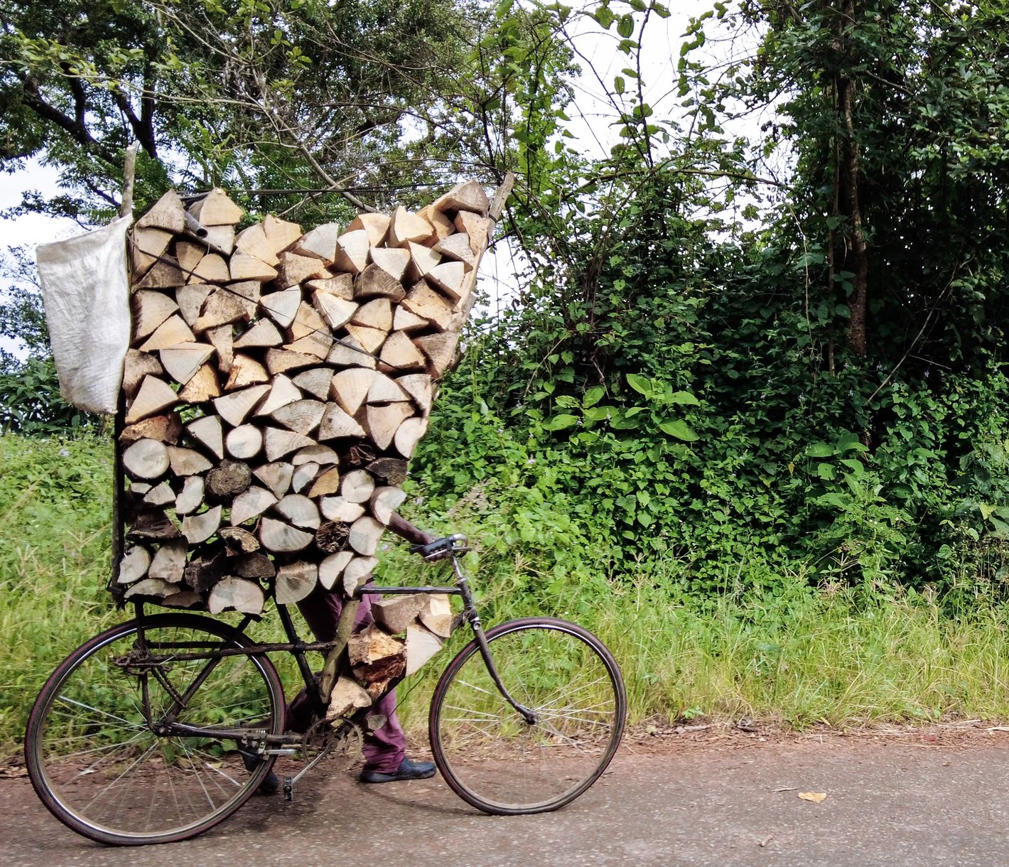 Das Fahrrad wird in Malawi für vieles benutzt – auch zum Transportieren von Brennholz.