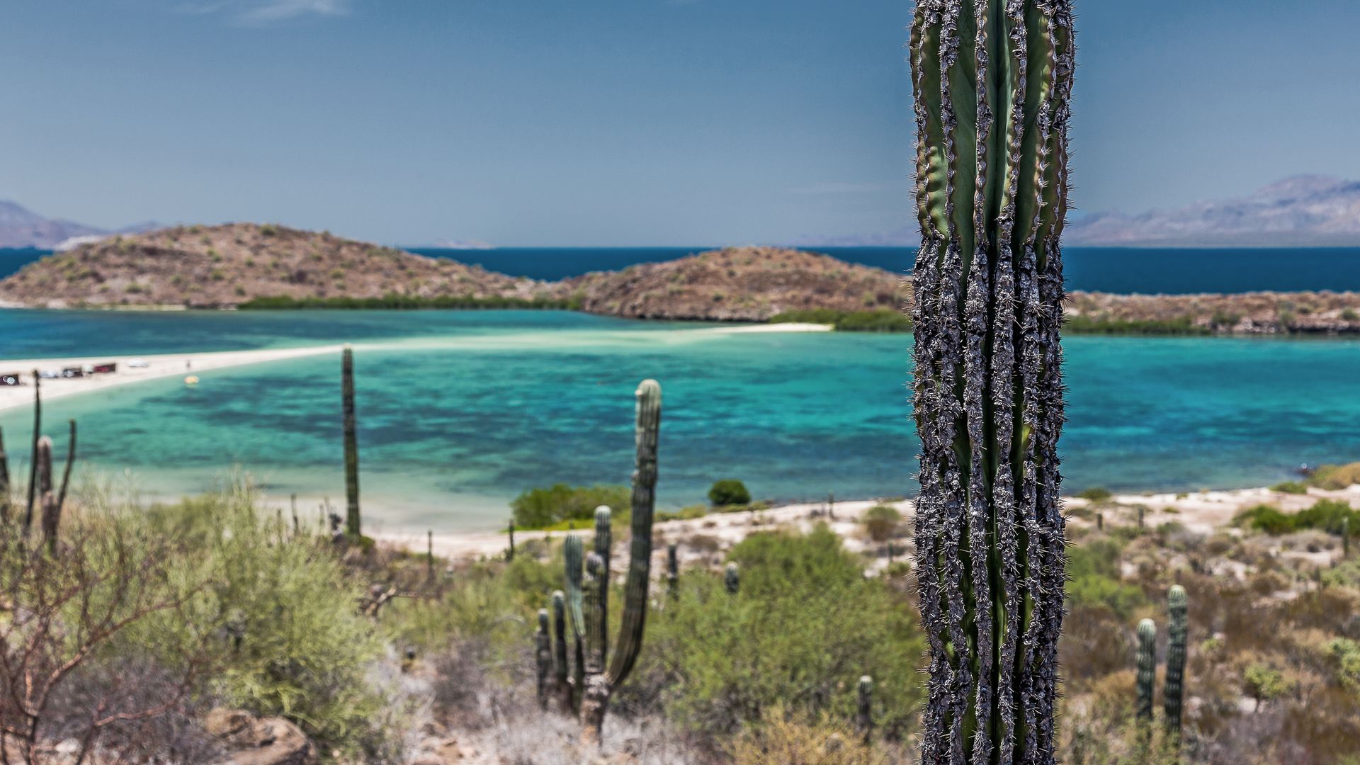 Bienvenue en Baja-California, début d’un road-trip inoubliable hors des sentiers battus