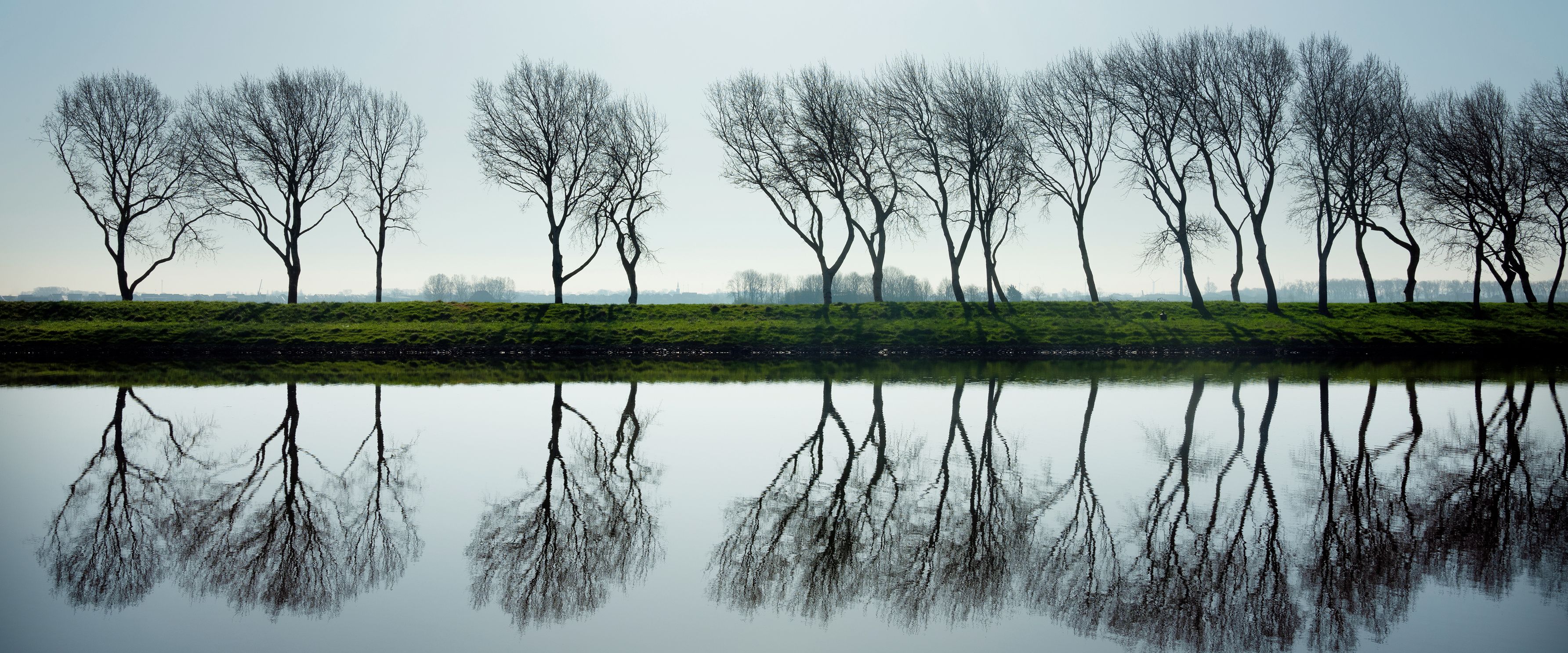 Bäume an einem Kanal bei der Stadt Middelburg, Provinz Zeeland