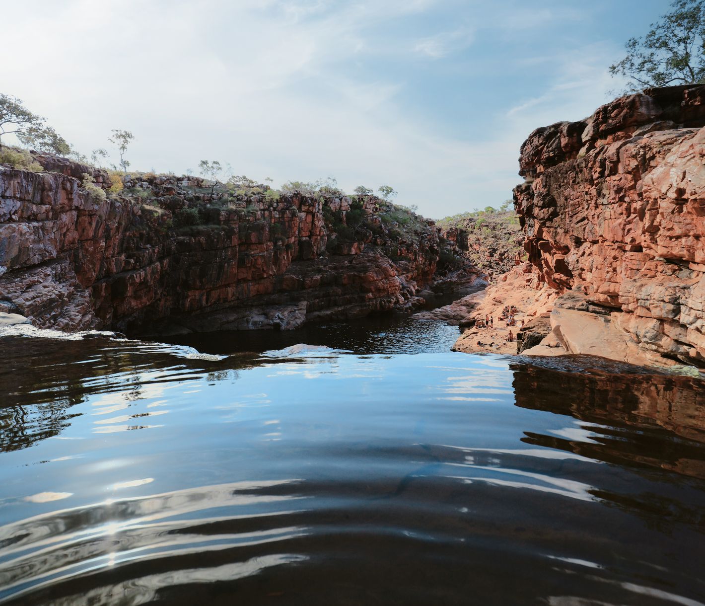 Dalmanyi (Bell Gorge)