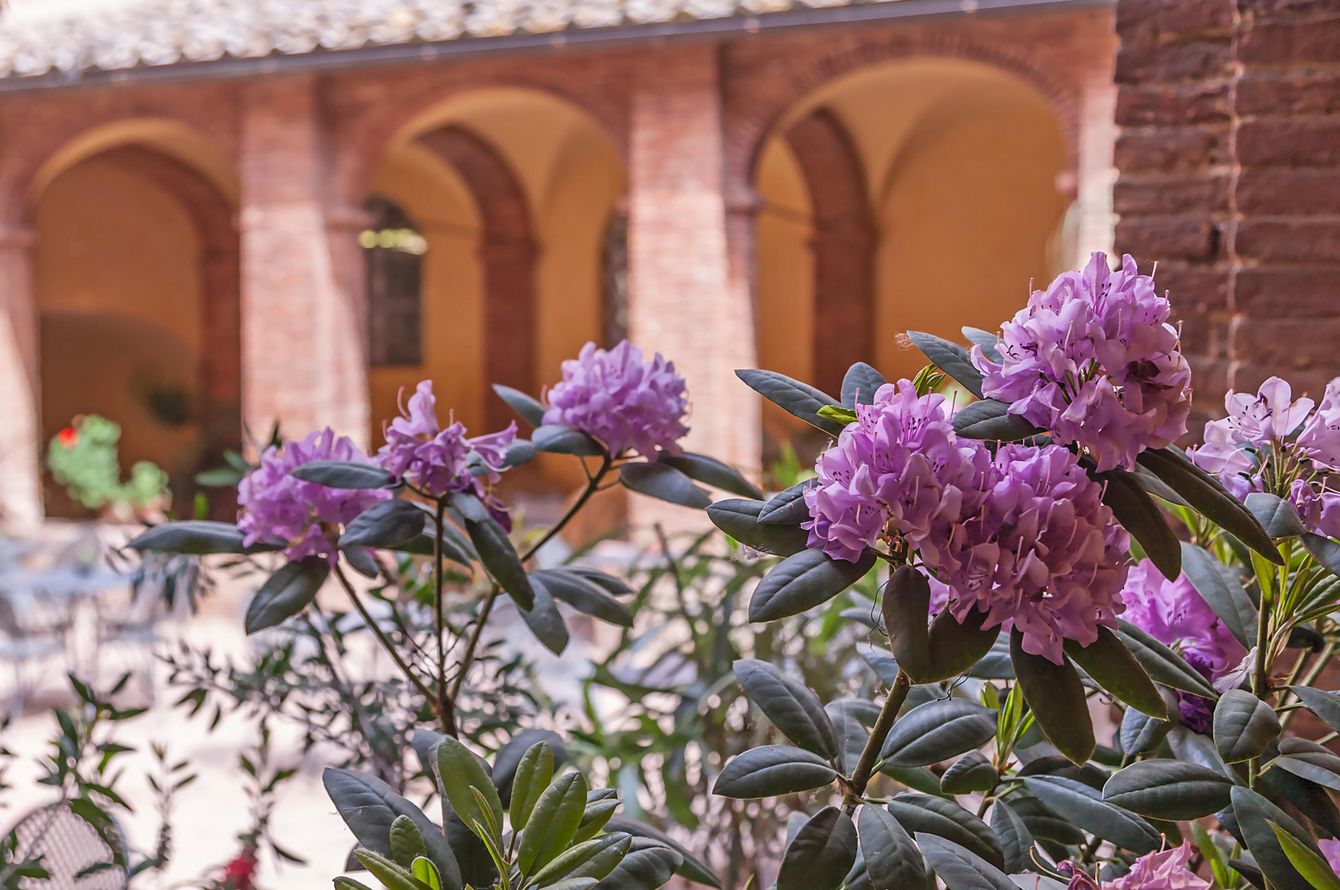 Il Chiostro del Carmine