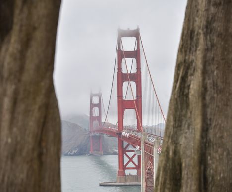 Kaum eine andere Brücke fasziniert mehr als die Golden Gate Bridge in San Francisco.