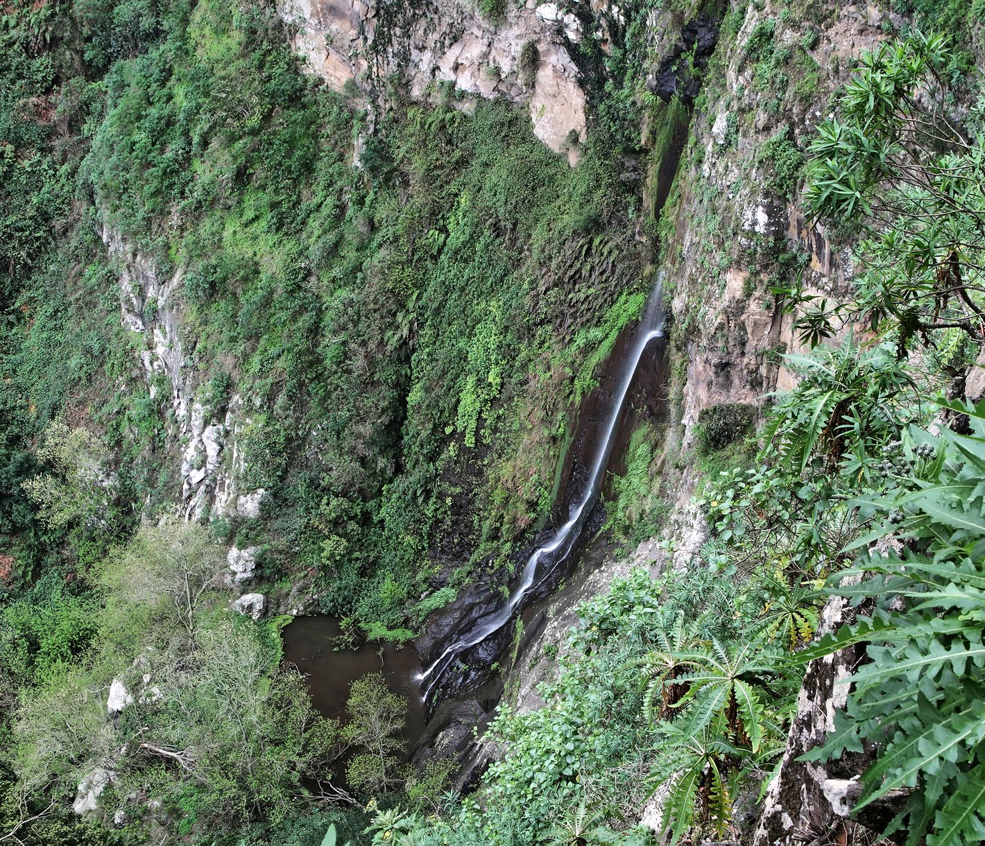 El Cedro auf La Gomera ist ein Naturparadies.