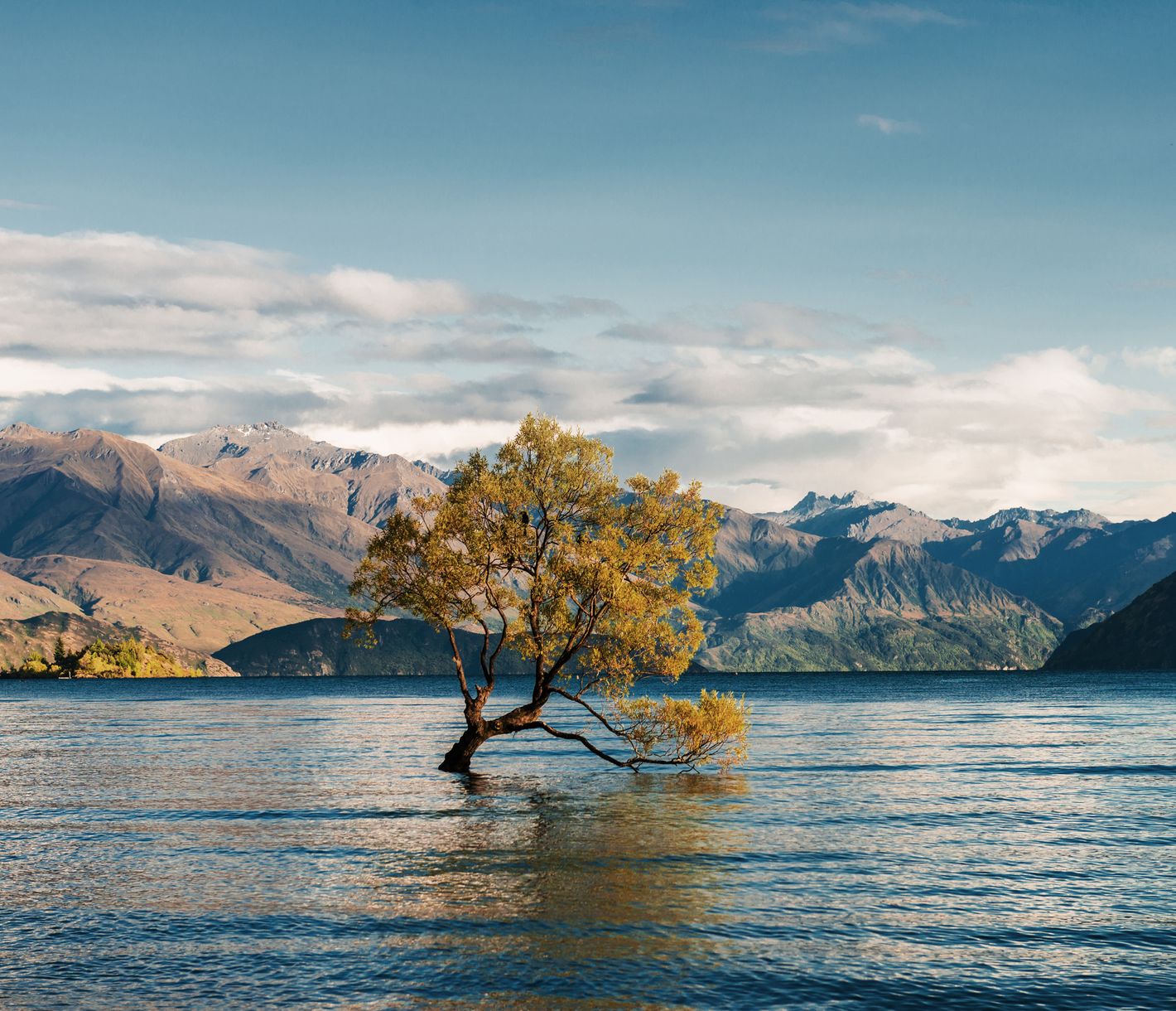 Wanaka und seine Highlights