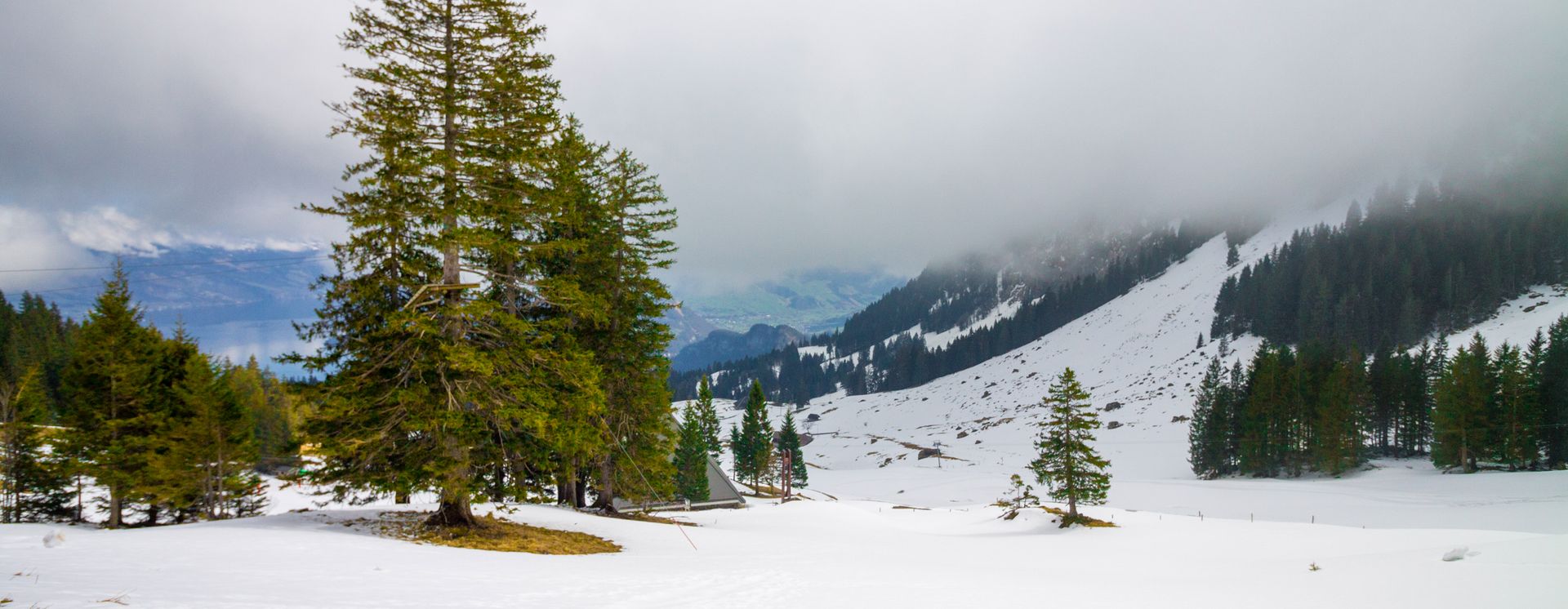 Winterlandschaft bei Luzern
