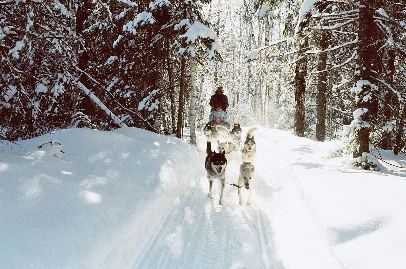 Activity Winter