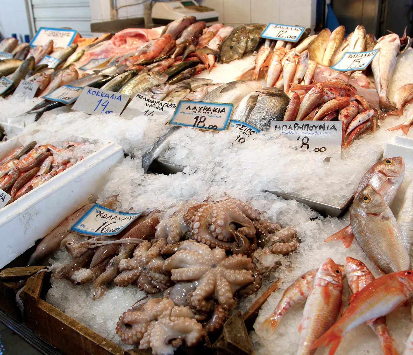 Authentischer Fischmarkt auf Aegina – ein Einblick in das Inselleben