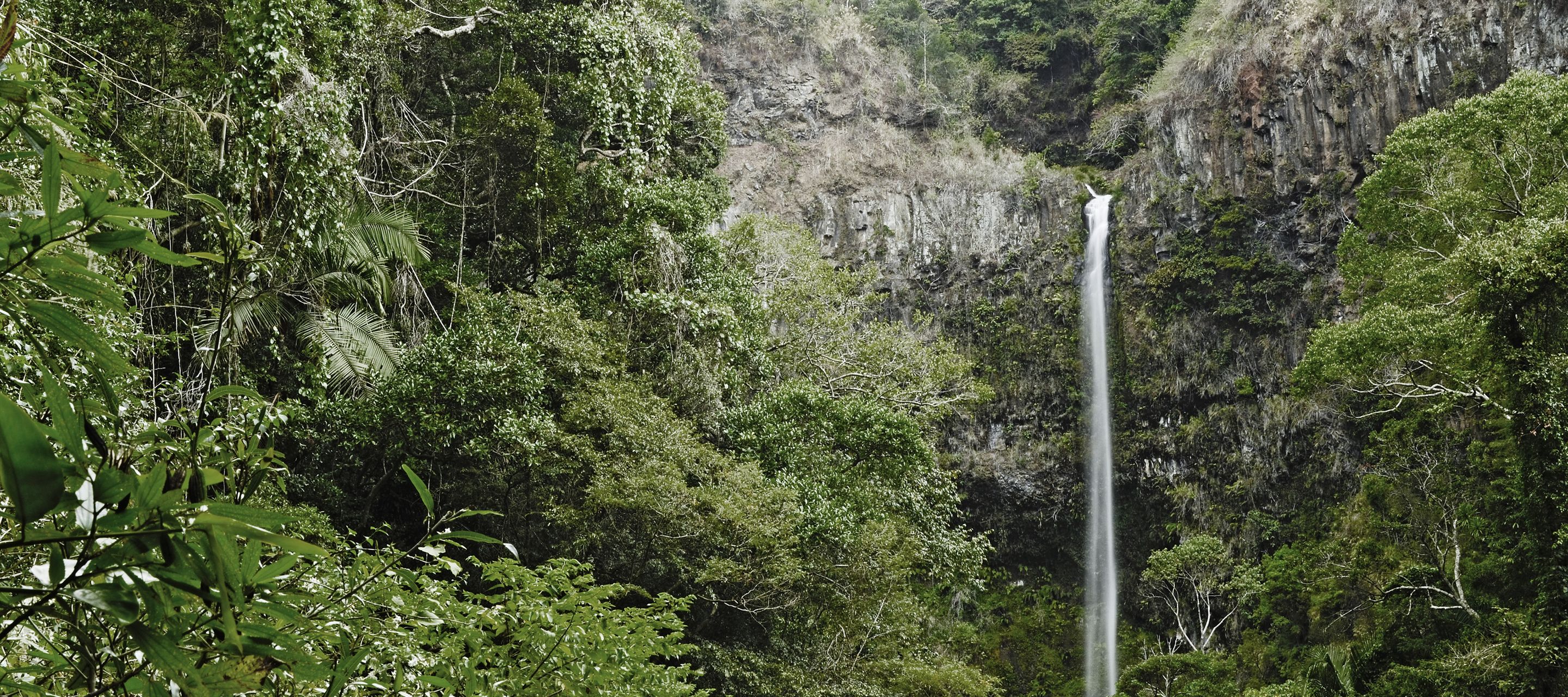 Une cascade dans le Parc National de la Montagne d'Ambre au nord de Madagascar