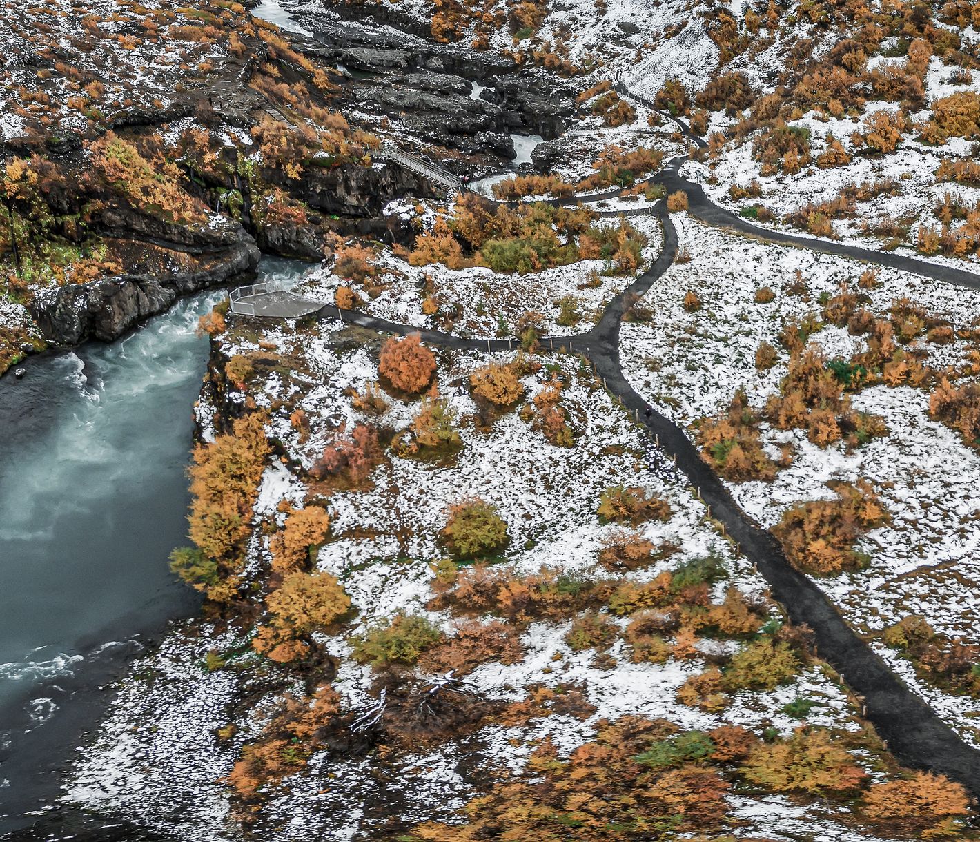 Was für wunderschöne Farbenspiele uns die Natur doch bieten kann.
